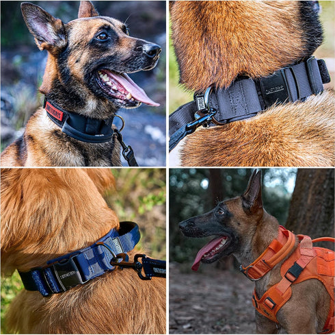Tough Tactical Dog Collar with Handle, Military Adjustable Collar for Training (Medium, Orange)