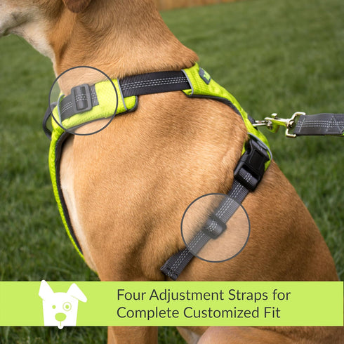 Tuff Mutt Dog Harness for Medium & Large Breeds, Easy On Easy Off with No Pull Front Chest Clip