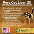 Happy Jack Cod Liver Fish Oil for Dogs Skin and Coat Supplement, Brain, Eyes, Bones, Hip, Joint, Heart & Immune System Health, Energy Booster (16 oz), Omega 3 with EPA & DHA, Vitamin A & D