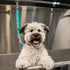 13inches Jelly Pet Dog Grooming Loop Extender Strap for Grooming Table and Tub, Made with Rubber Waterproof Material