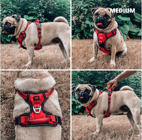 Tuff Pupper Anti Pull Heavy Duty Dog Harness, Comfortable Padded Training Vest with Reflective Safety Handle for Small