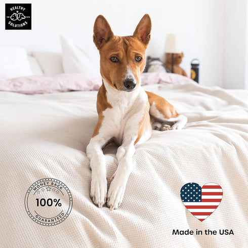 Potty Training Spray for Dogs - Dog Pee Spray with Marking Scent for Indoor & Outdoor Use - Made in USA, 32 Oz