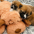 Original Snuggle Puppy Toys - Heartbeat Puppy for Dogs, Pet Anxiety Relief and Calming Aid