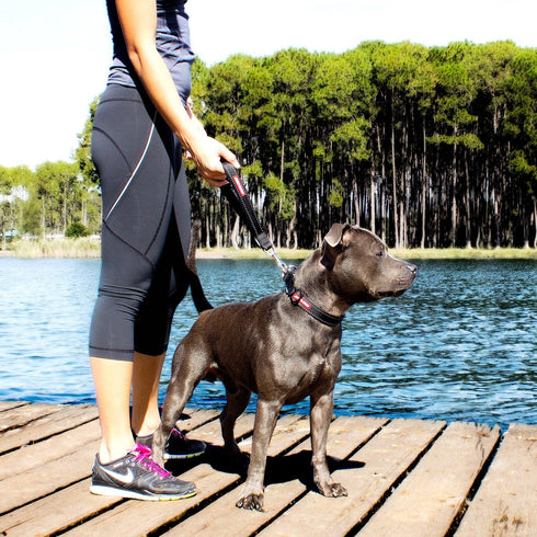 EzyDog Neo Mongrel Short Dog Leash for Large Dogs, Reflective Stitching for Nighttime Safety, Black