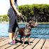 EzyDog Neo Mongrel Short Dog Leash for Large Dogs, Reflective Stitching for Nighttime Safety, Black
