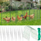 BOUTICOL 2.1 x 32.8 FT Portable Chicken Tunnel - Outside Chicken Coop Tunnel,