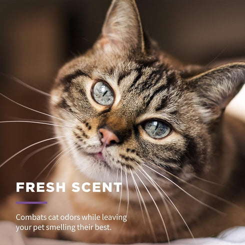Wet Ones for Pets Freshening Wipes for Cats, 50 Count- 3 Pack, Aloe Vera, Easy to Use Cat Grooming Wipes, Fresh Scent