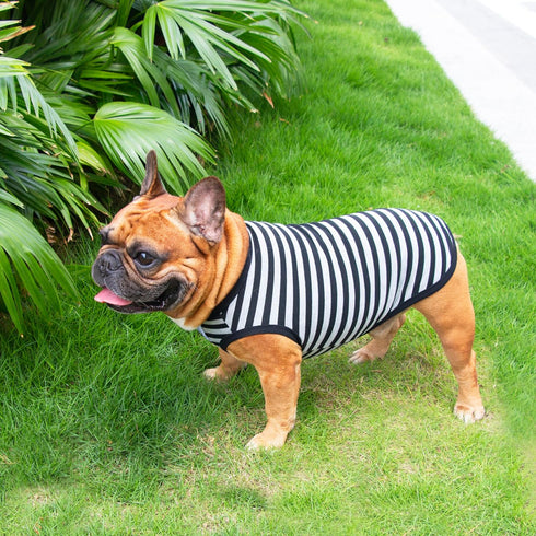 iChoue French Bulldog 100% Breathable Cotton Striped T Shirts, Summer Cooling Vest Clothes for Medium Dogs Tank Tops