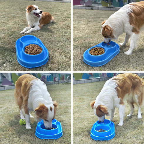 PetLike Ants Away Double Cat Dog Water and Food Bowls, 6 Cups / 48oz Feeding Dish for Medium to Large Dogs and Cats