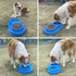 PetLike Ants Away Double Cat Dog Water and Food Bowls, 6 Cups / 48oz Feeding Dish for Medium to Large Dogs and Cats
