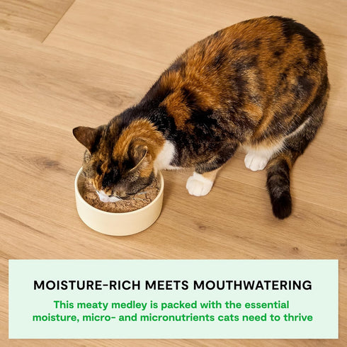 5.5oz Packs 12) Open Farm Rustic Blend Wet Cat Food, Complete & Balanced Medley with Human-Grade Ingredients