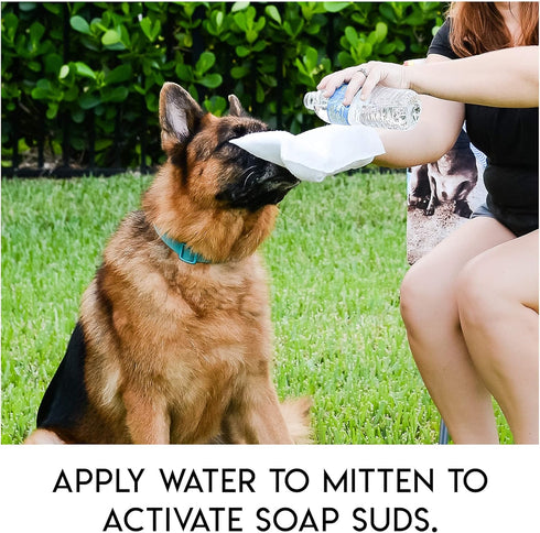 No Rinse Pet Wipes, Rinse Free Shampoo Mittens for Dogs & Cats, Bathing & Washing Pets, Pack of 15