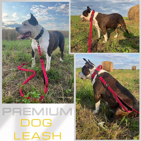 Heavy Duty Bungee Dog Leash - 6 ft - 7.5 ft for Large Medium Dogs, Reflective, Pink