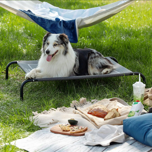 Bedsure XL Elevated Cooling Dog Bed Cot, Raised Pet Bed with No-Slip Feet, Durable Supportive Mesh for Indoor/Outdoor