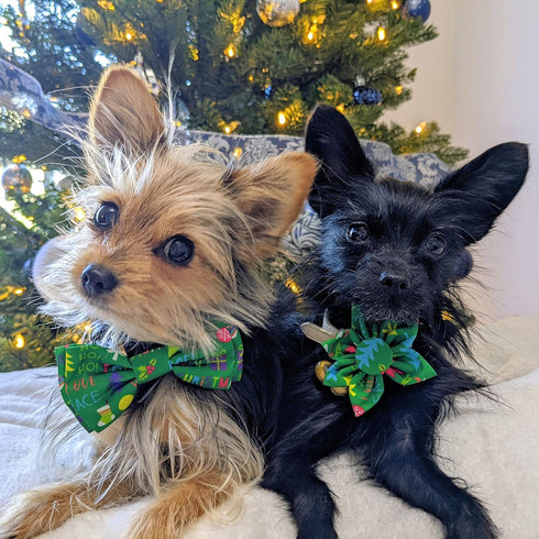 Huxley & Kent Bow Tie for Pets, Merry & Bright (Small), Christmas Holiday Velcro Bow Tie Attachment