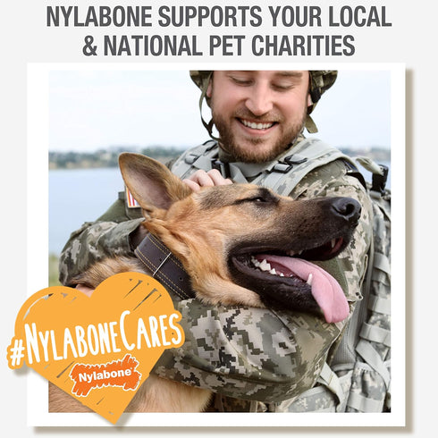 Nylabone Nutri Dent Dog Dental Chews - Medium (20 Count) - Natural Dog Teeth Cleaning & Breath Freshener Treats - Filet