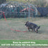 Strong Durable Nylon Dog Training Leash - 1 Inch Wide Traction Rope, 6 ft 10ft 15ft Long, Purple