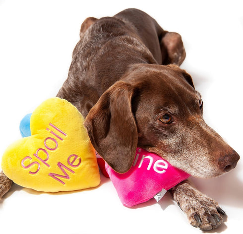 Midlee Candy Heart Valentine's Dog Toy, Set of 4 Large Plush Squeaky Toys