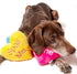 Midlee Candy Heart Valentine's Dog Toy, Set of 4 Large Plush Squeaky Toys