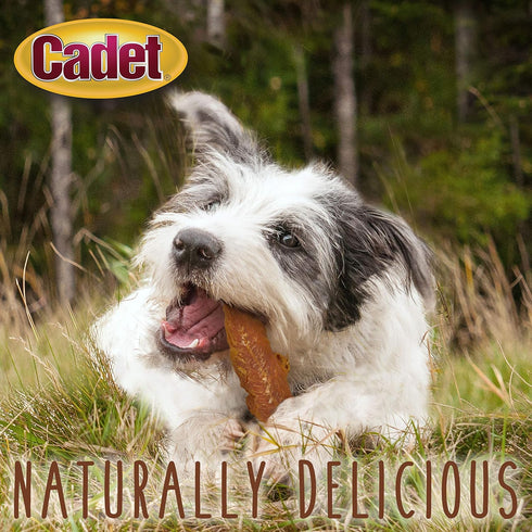 (28 oz.) Cadet Gourmet Chicken Breast Dog Treats - Healthy & Natural Chicken Dog Training Treats for Small & Large Dogs