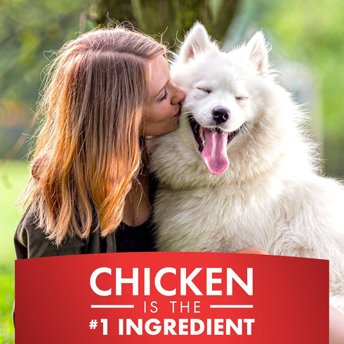 Dog Treats, K9 Kabobs for Dogs Made with Real Chicken and Duck, 12 Ounces, Healthy, High Protein Dog Treat, Long-Lasting
