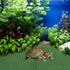 jojofuny Artificial Grass Turf, Aquatic Grass Lawn for Pet, Turtle Basking Ramp, Simulation Grass for Fish Tank Reptile