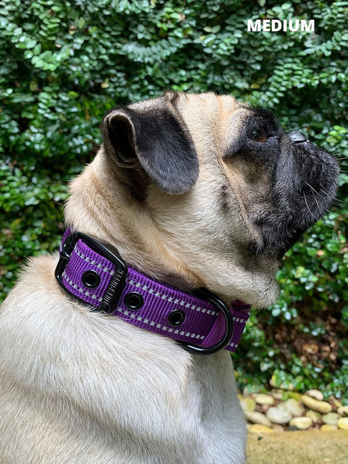 Tuff Pupper Ultra Comfort Padded Dog Collar | Thick Neoprene Padding | Waterproof Collar with Reflective Stitching