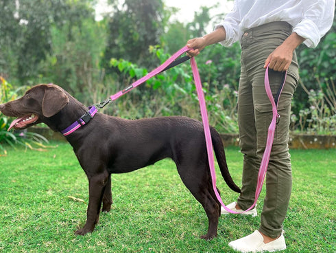 Tuff Pupper Heavy Duty Double Handle Dog Leash - 6 Foot Reflective with Twist Locking Carabiner for Strong Dogs
