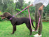 Tuff Pupper Heavy Duty Double Handle Dog Leash - 6 Foot Reflective with Twist Locking Carabiner for Strong Dogs