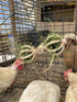 Spinning Feeder Ball Toy for Chickens, Food Holder for Backyard Coops, Enrichment Hay Ball, Gift for Chicken Keepers