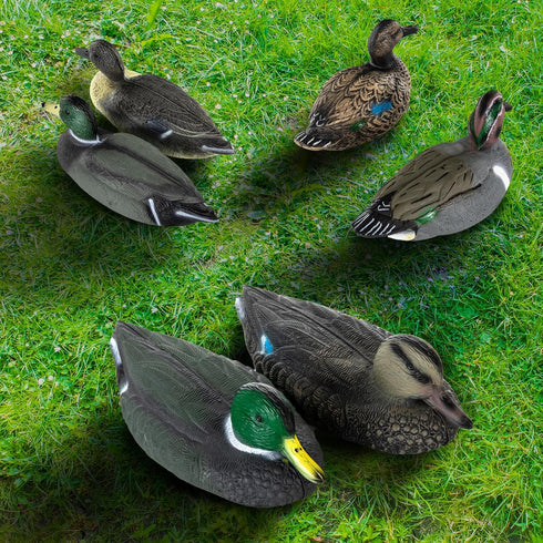 Realistic Mallard Duck Models as Decoys and Ornaments Loved by Hunting Enthusiasts