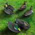 Realistic Mallard Duck Models as Decoys and Ornaments Loved by Hunting Enthusiasts