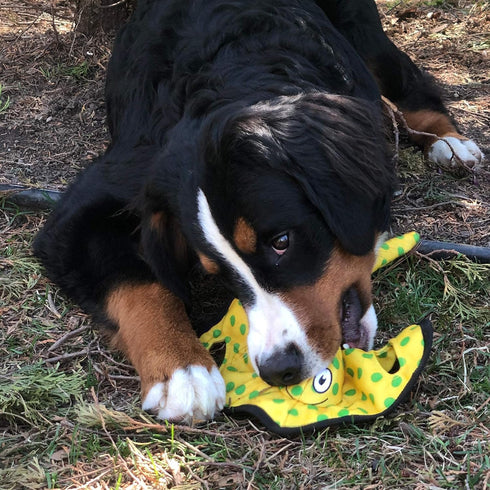 SmartPetLove Snuggle Puppy Tender-Tuffs Tug of War Dog Toy - Extra Large Yellow Stingray Big Ray with Puncture
