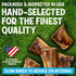 3" (12 Pack) Beef Marrow Bones for Dogs, Bone, Long Lasting Stuffed Treats, Tasty and Healthy Snack for Small