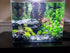 Small World Slate & Stone Aquarium Gravel, 6lbs Natural Substrate for Aquascaping Freshwater and Saltwater