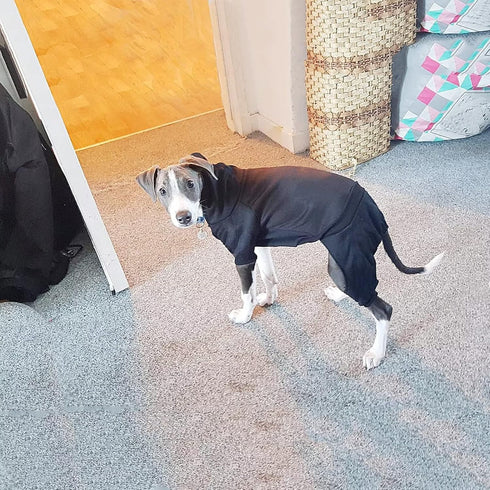Dog Hoodie Fleece Sweatshirt with Buttons - Cold Weather Coats & Pajamas for Small Medium Large Dogs