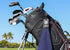 Magnetic Golf Towels with Clip & Ultra Strong Magnet, Waffle Weave Microfiber Towel for Golf Bags & Carts, Navy
