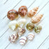 Generic 12-Pack Hermit Crab Shells Natural 1.52" Snail Shells for Crafts, Hermit Crabs,