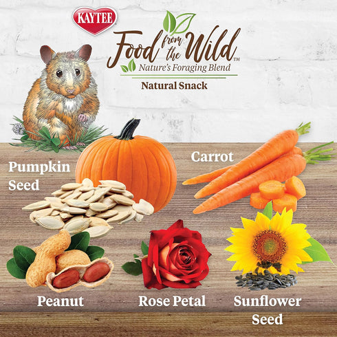 Kaytee Food from The Wild Natural Snack for Pet Hamsters, Gerbils, Rats, and Mice, 2 Ounces