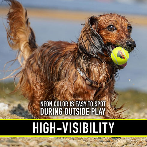 Franklin Pet Supply RSF Squeak Mini 1.75" Tennis Balls, Dog Toy Squeaks When Squeezed, Pack of 12