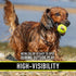 Franklin Pet Supply RSF Squeak Mini 1.75" Tennis Balls, Dog Toy Squeaks When Squeezed, Pack of 12