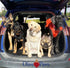 30 ft Dog Leash for Small, Medium, Large Dogs, Training Dog Leash Set 6ft, 15ft, 20ft, 30ft Long Dog Lead