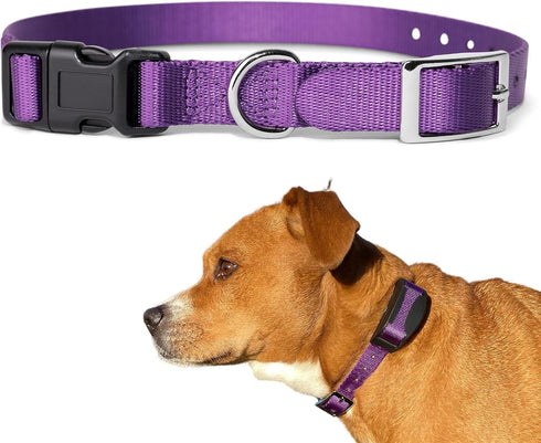 E Collar Replacement Strap, SportDog Replacement Collar, Petsafe Replacement Collar, Dog Shock Collar Replacement,