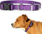E Collar Replacement Strap, SportDog Replacement Collar, Petsafe Replacement Collar, Dog Shock Collar Replacement,