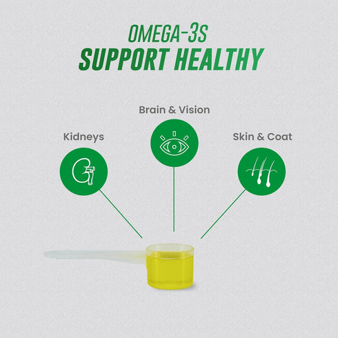 3 3 4 Nutramax Welactin Omega Fish Oil for Cats, Skin and Coat Health Supplement, Plus Kidney, Brain, and Vision