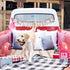 Fringe Studio Plush Dog Toy - Durable Play Like A Champion from Pet Shop Collection (729084)