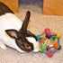 Ware Atomic Ball Wood Chew Toy for Small Animals, Large