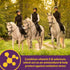 3 lbs., 96 Farnam Horse Health Vita E & Selenium Crumbles Horse Vitamin Supplement, Supports optimal muscle health