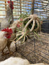 Spinning Feeder Ball Toy for Chickens, Food Holder for Backyard Coops, Enrichment Hay Ball, Gift for Chicken Keepers
