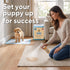 Great Home Brands 30x23 25 Count Extra Large Pee Pads for Dogs in, | Super Absorbent Multilayer Leak Proof Design |